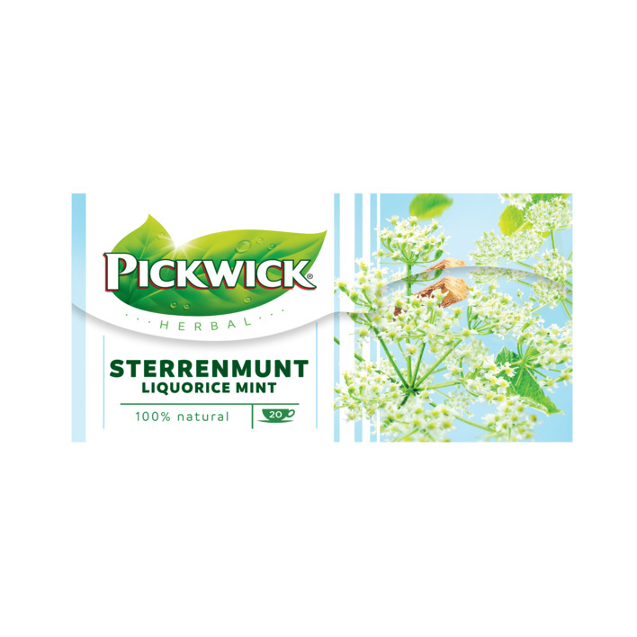 Pickwick Sterrenmunt kruidenthee