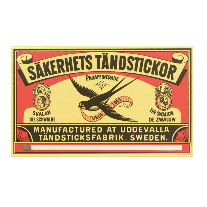 De zwaluw Lucifers extra lang