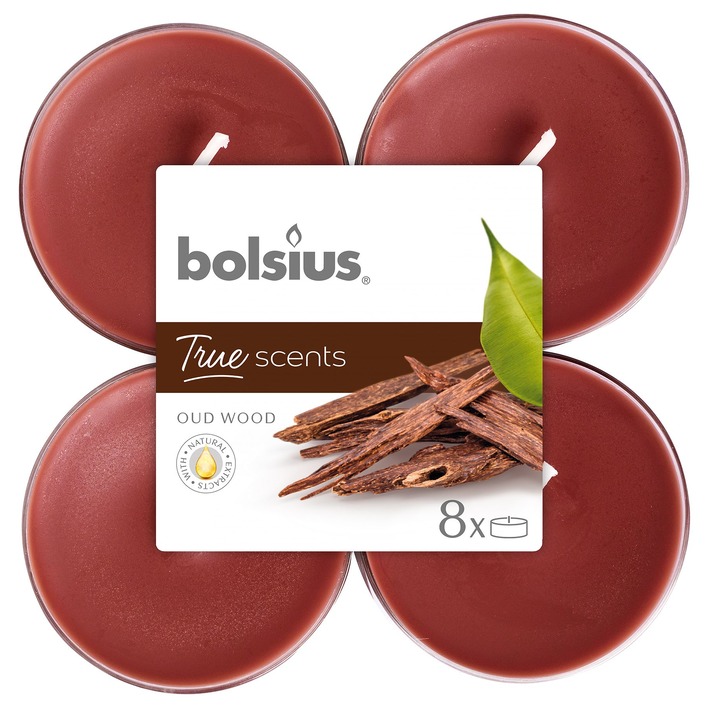 Bolsius Geurlichten maxi true scents old wood