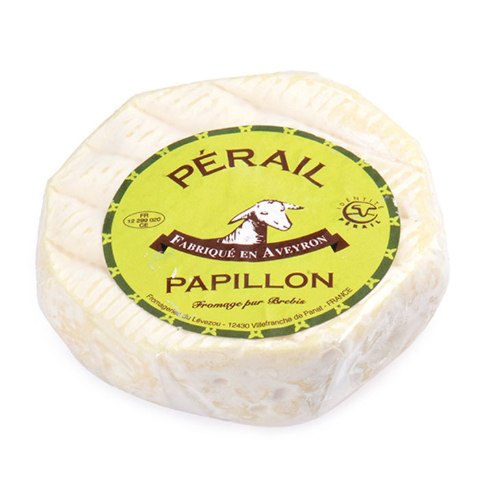 Papillon perail brebis 55+