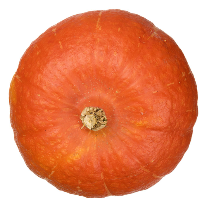 AH Biologisch Pompoen