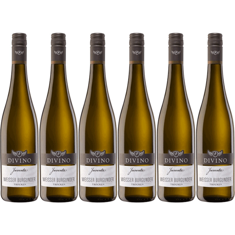 Divino Juventa weissburgunder 6 flessen