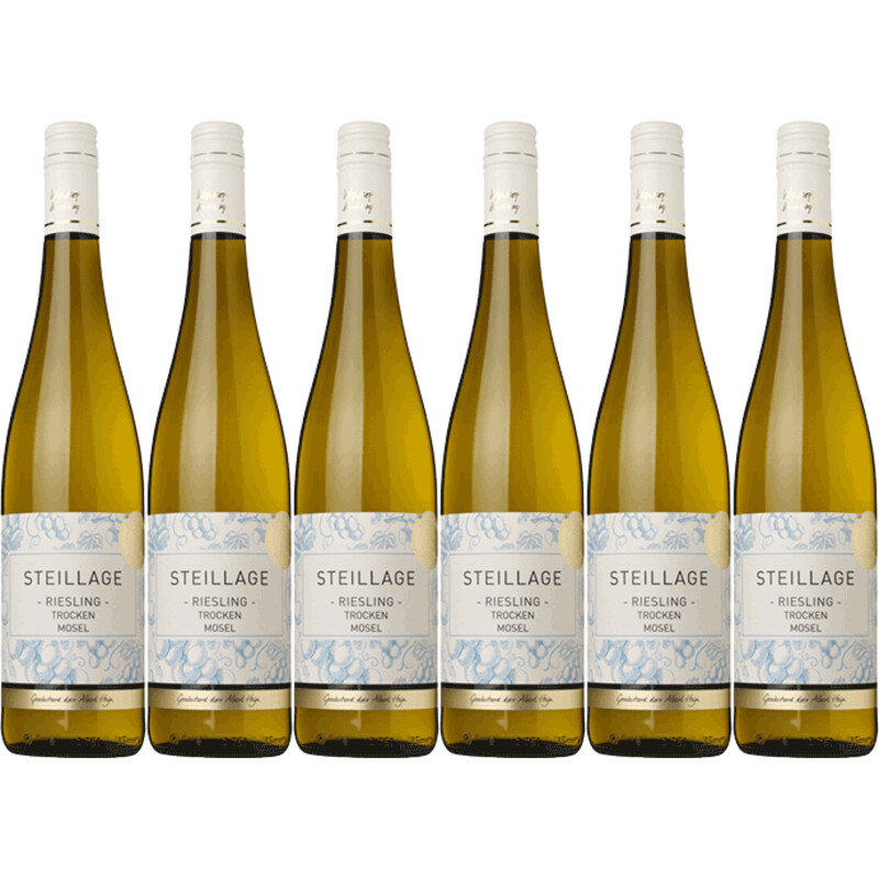 AH Excellent Selectie riesling 6 flessen
