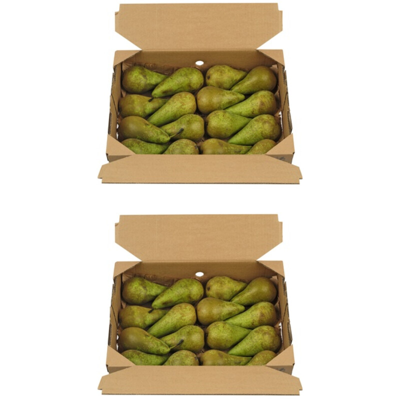 AH Fruitbox peren 2-pack
