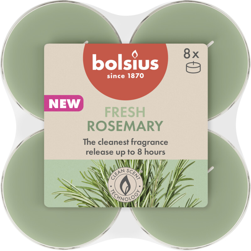 Bolsius Maxilichten 8u true scents rozemarijn