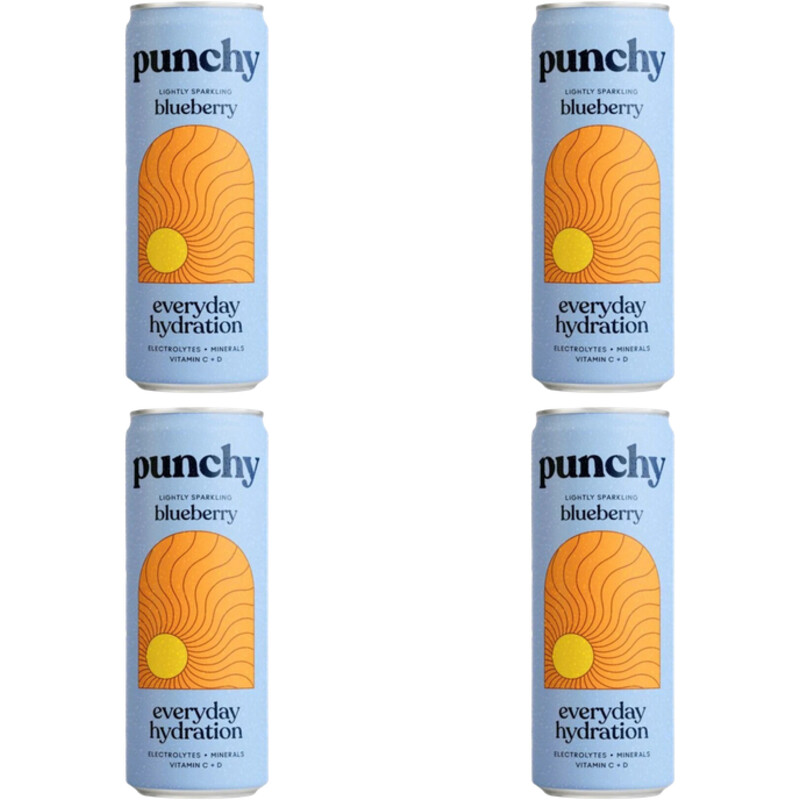 Punchy Everyday hydration blueberry 4-pack