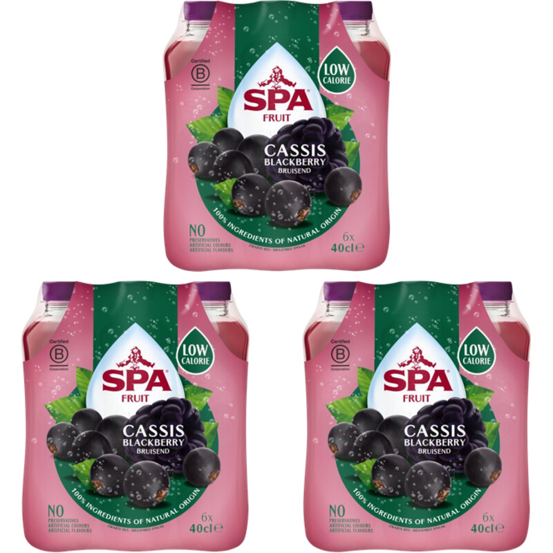 Spa Fruit cassis blackberry bruisend 18-pack