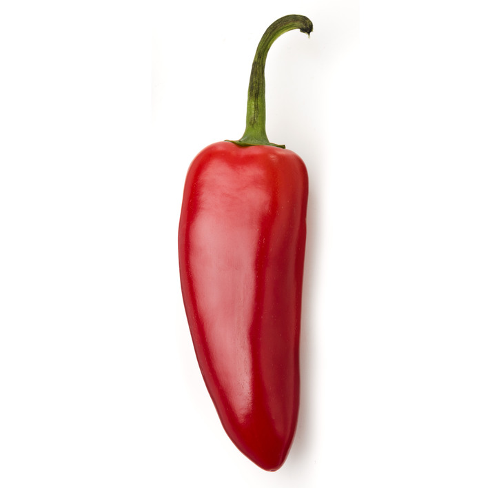 AH Jalapeño peper rood