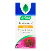 A.Vogel Echinaforce sterk** + energie