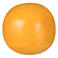 Edam Jong 40+ bol