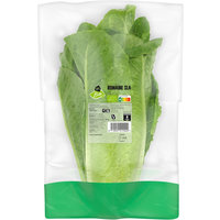 AH Biologisch Romaine sla