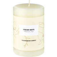 AH Geurkaars fesh days 10cm