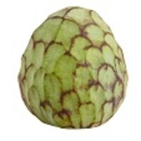 AH Cherimoya
