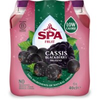 Spa Fruit cassis blackberry bruisend 6-pack
