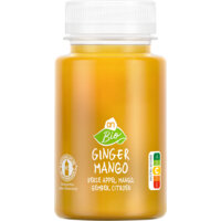 AH Biologisch Ginger mango verse appel mango gember