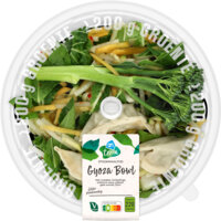 AH Terra Plantaardig stoommaaltijd gyoza bowl