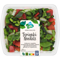 AH Terra Verse maaltijd teriyaki noedels