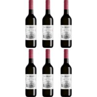 AH Merlot 6 flessen