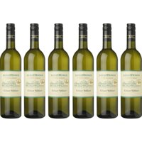 Lenz Moser Gruner veltliner 6 flessen