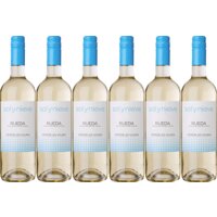 Sol y Nieve Rueda verdejo-viura 6 flessen