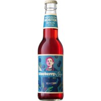 Wostok Bosbessen-salie