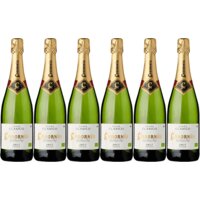 Codorníu Clasico cava brut 6 flessen
