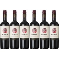Aliwen Cabernet sauvignon reserva 6 flessen