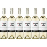 Casillero del Diablo Pinot grigio reserva 6 flessen