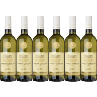 AH Excellent Selectie pinot grigio 6 flessen