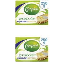 Campina Botergoud grasboter 2-pack
