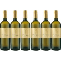 Gio Pinot grigio 6 flessen