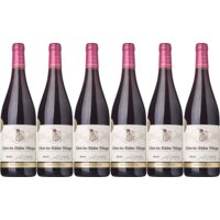 AH Excellent côtes du rhône villages 6 flessen