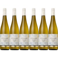 AH Excellent Selectie riesling 6 flessen