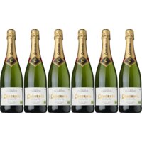 Codorníu Clasico semi sec organic 6 flessen
