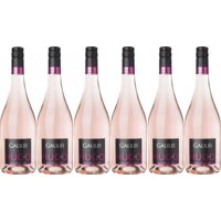 Galileo Galilei Hugo rosé 6 flessen