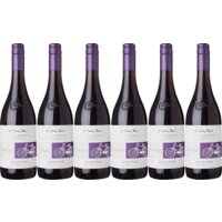 Cono Sur Bicicleta pinot noir 6 flessen