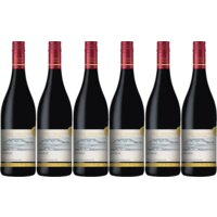 AH Excellent Selectie shiraz alcoholvrij 6 flessen
