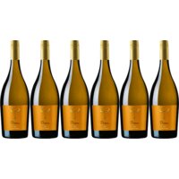 Gio Prosecco 6 flessen