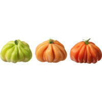 AH Coeur de boeuf tomaten