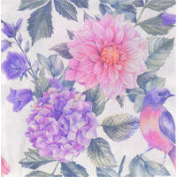 AH Servet dahlia