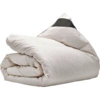 Ten Cate Dekbed 4-seizoenen dons 90/10 200x200