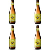 Lowlander Citrus blonde 4-pack
