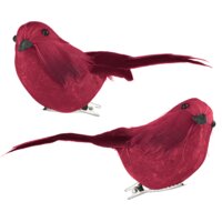 AH Excellent Vogeltje op clip rood