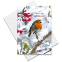 Hallmark Hangpakje Kerst roodborstje