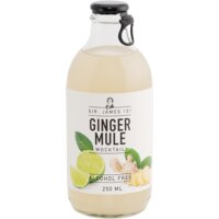 Sir. James 101 Ginger mule