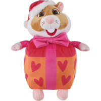 AH Hamster cadeautje