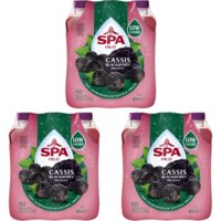 Spa Fruit cassis blackberry bruisend 18-pack