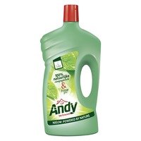 Andy Allesreiniger vertrouwd